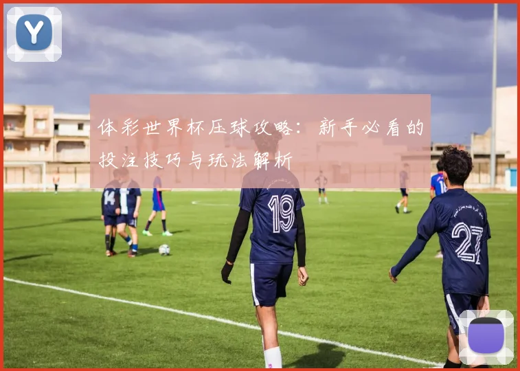 体彩世界杯压球攻略：新手必看的投注技巧与玩法解析